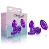 Cheeky Charms - Rechargeable Vibrating Metal Butt  Plug With Remote Control - Purple - Small